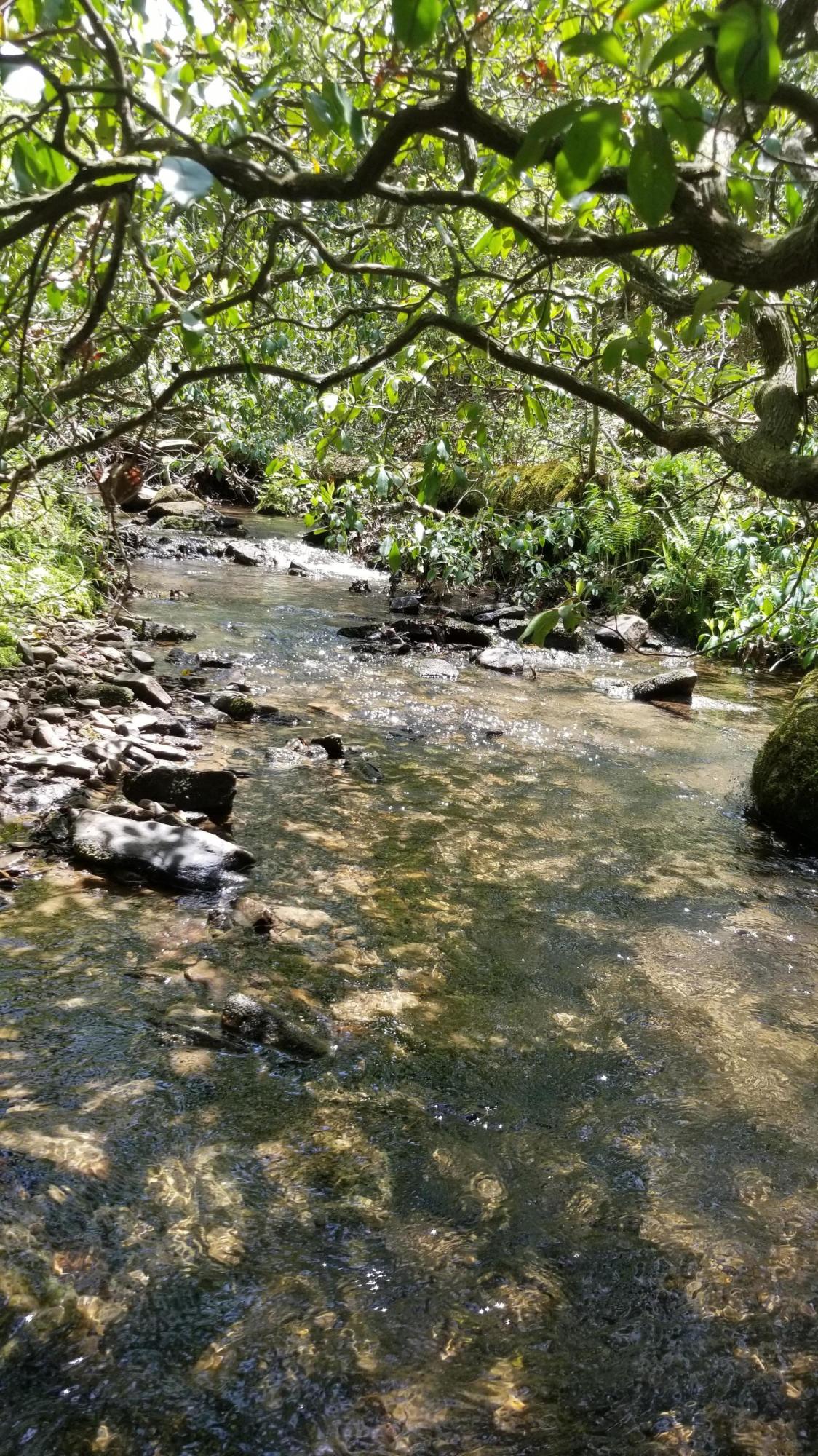 Plateau Road Crossville, TN 38571 - Photo 2 of 27 20210511_124855