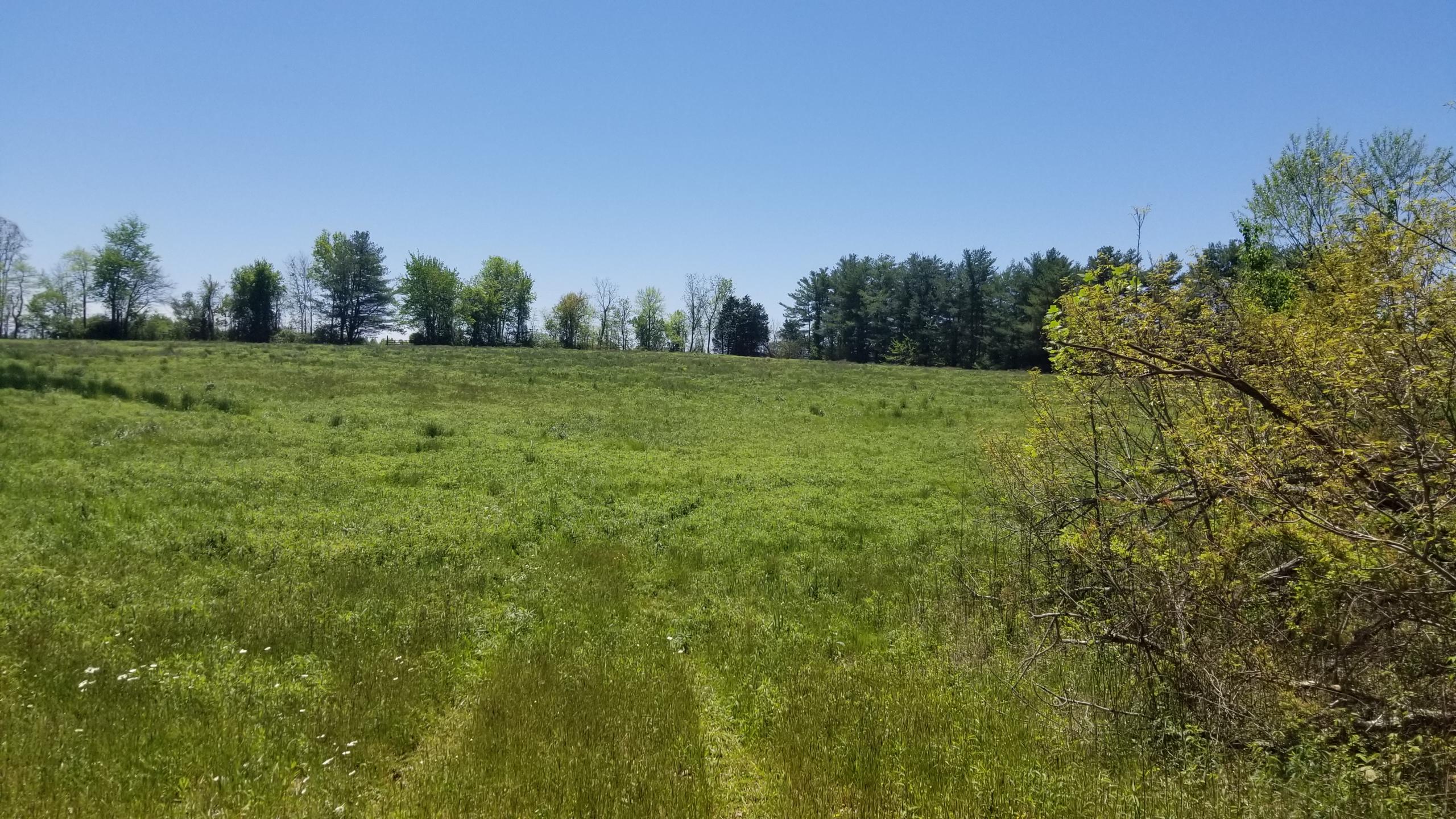 Plateau Road Crossville, TN 38571 - Photo 12 of 27 20210506_124021