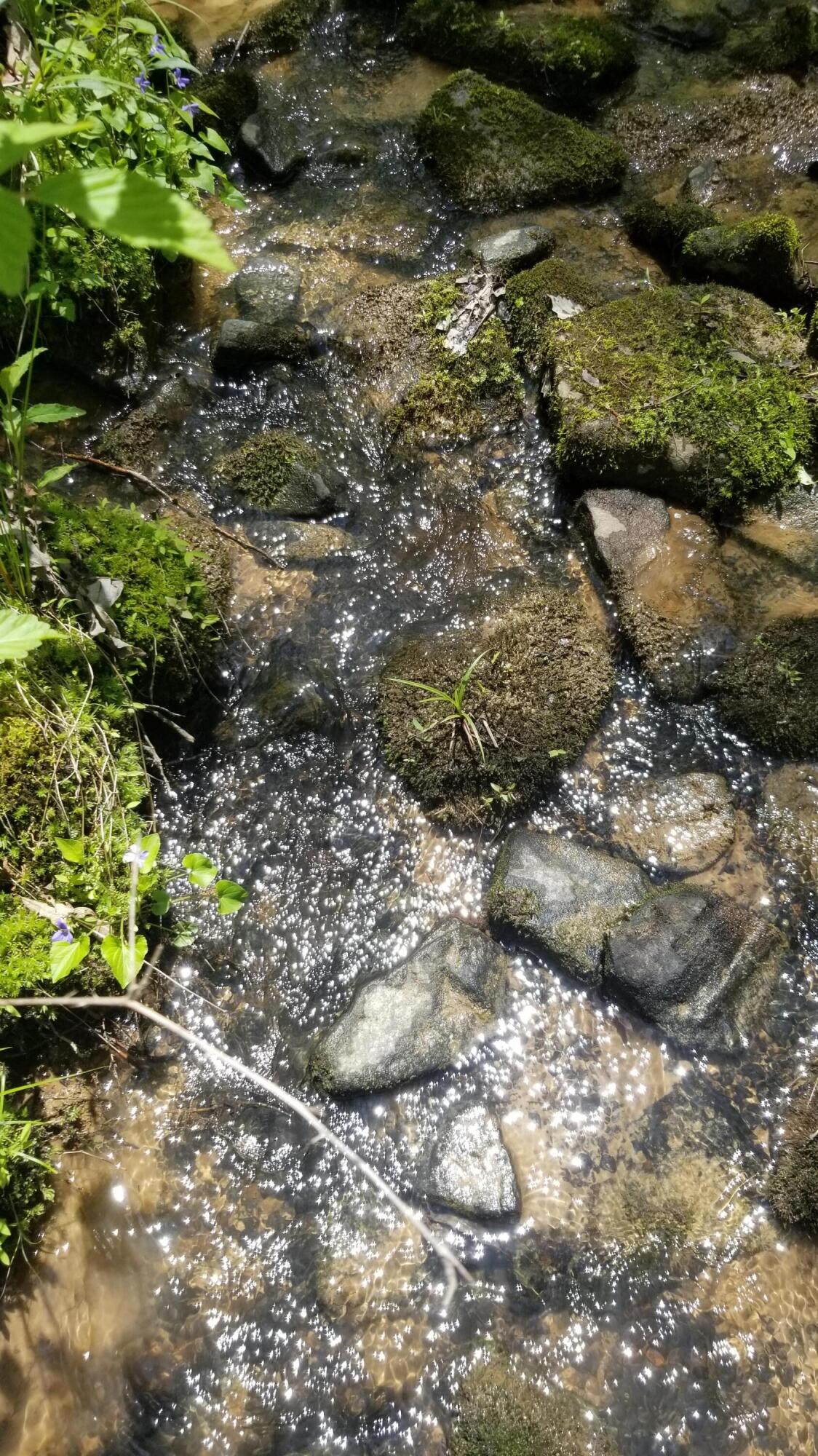 Plateau Road Crossville, TN 38571 - Photo 13 of 27 20210511_121254