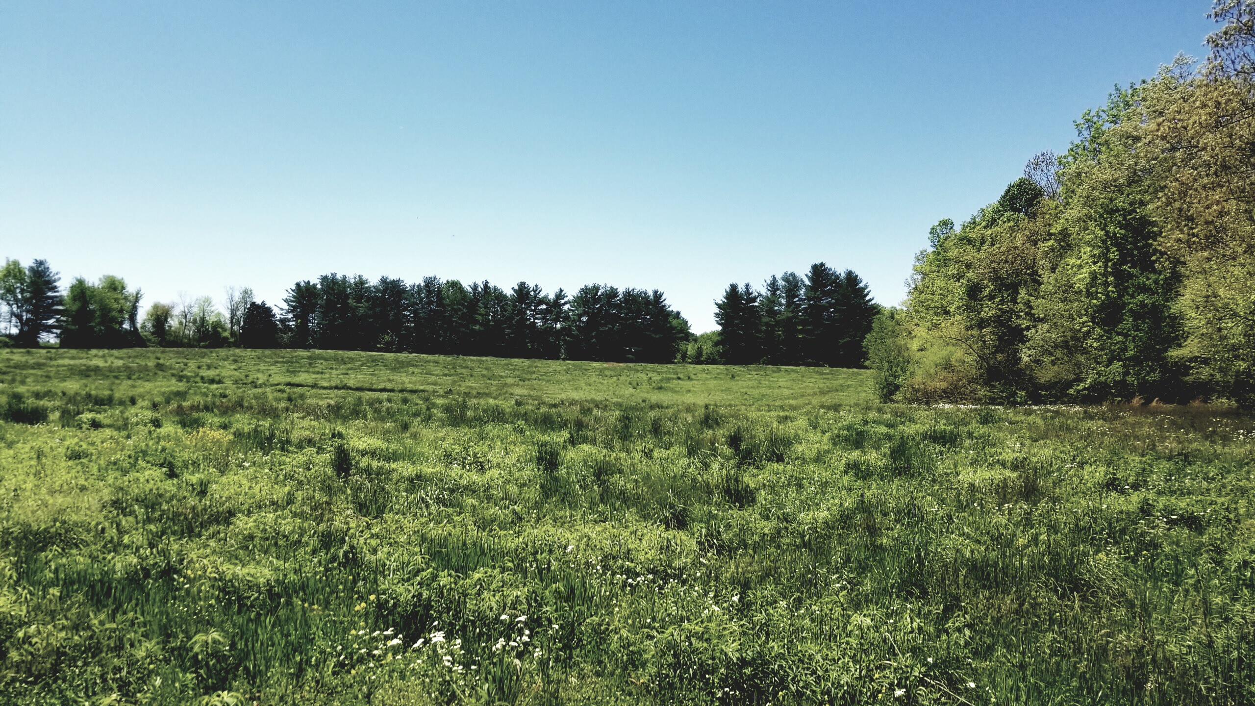 Plateau Road Crossville, TN 38571 - Photo 14 of 27 20210506_124909