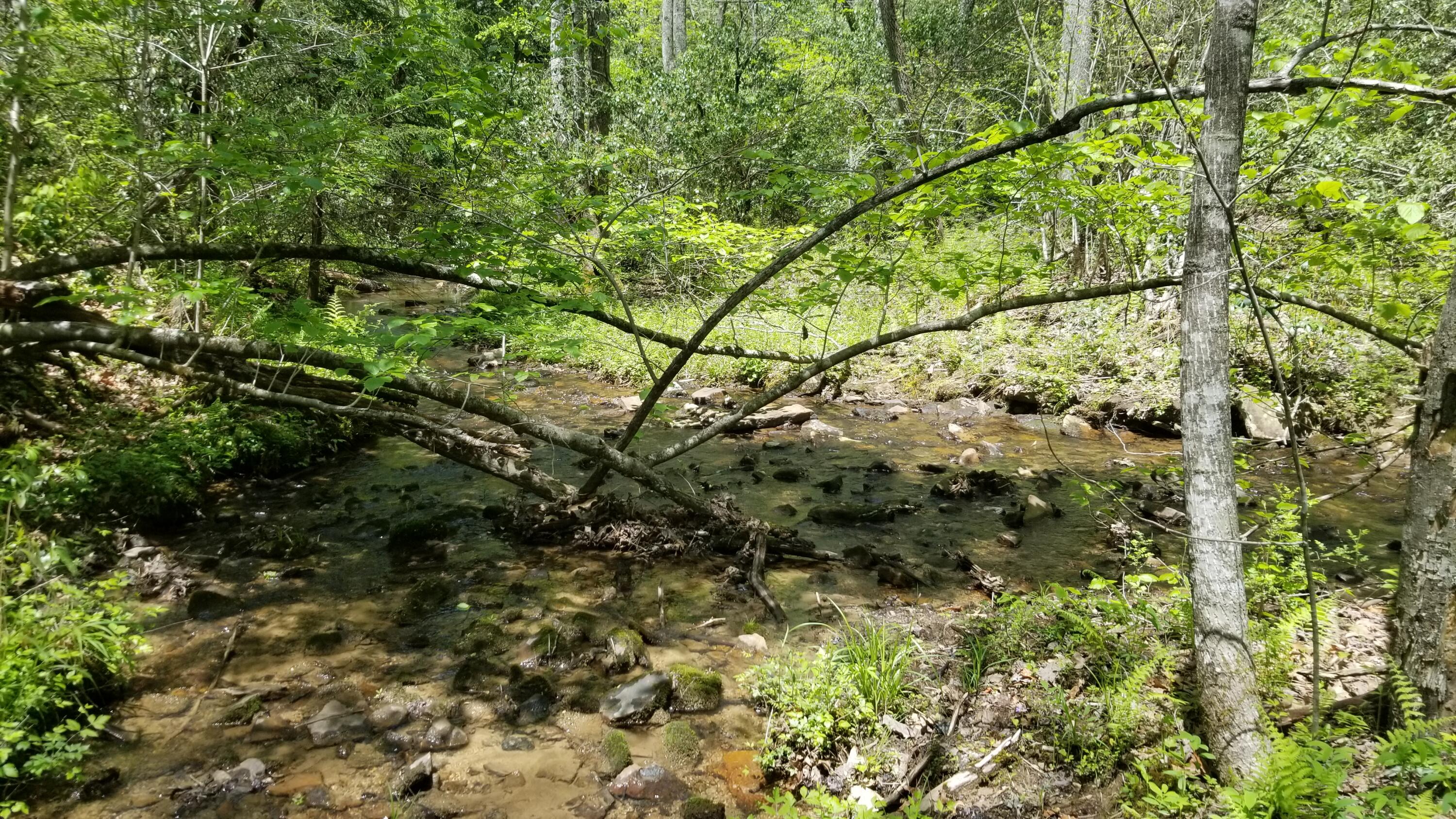 Plateau Road Crossville, TN 38571 - Photo 15 of 27 20210511_130111