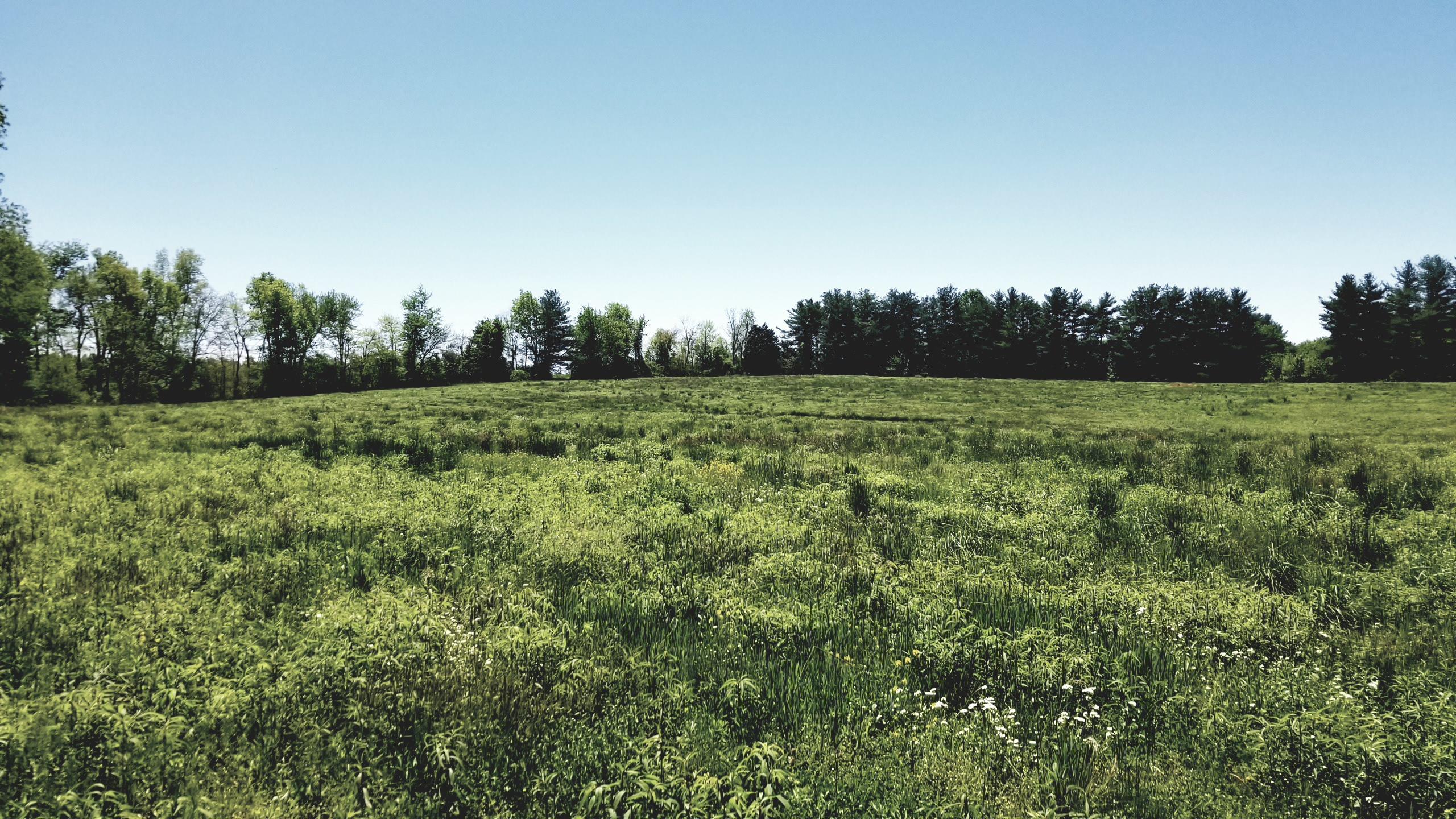 Plateau Road Crossville, TN 38571 - Photo 16 of 27 20210506_124911