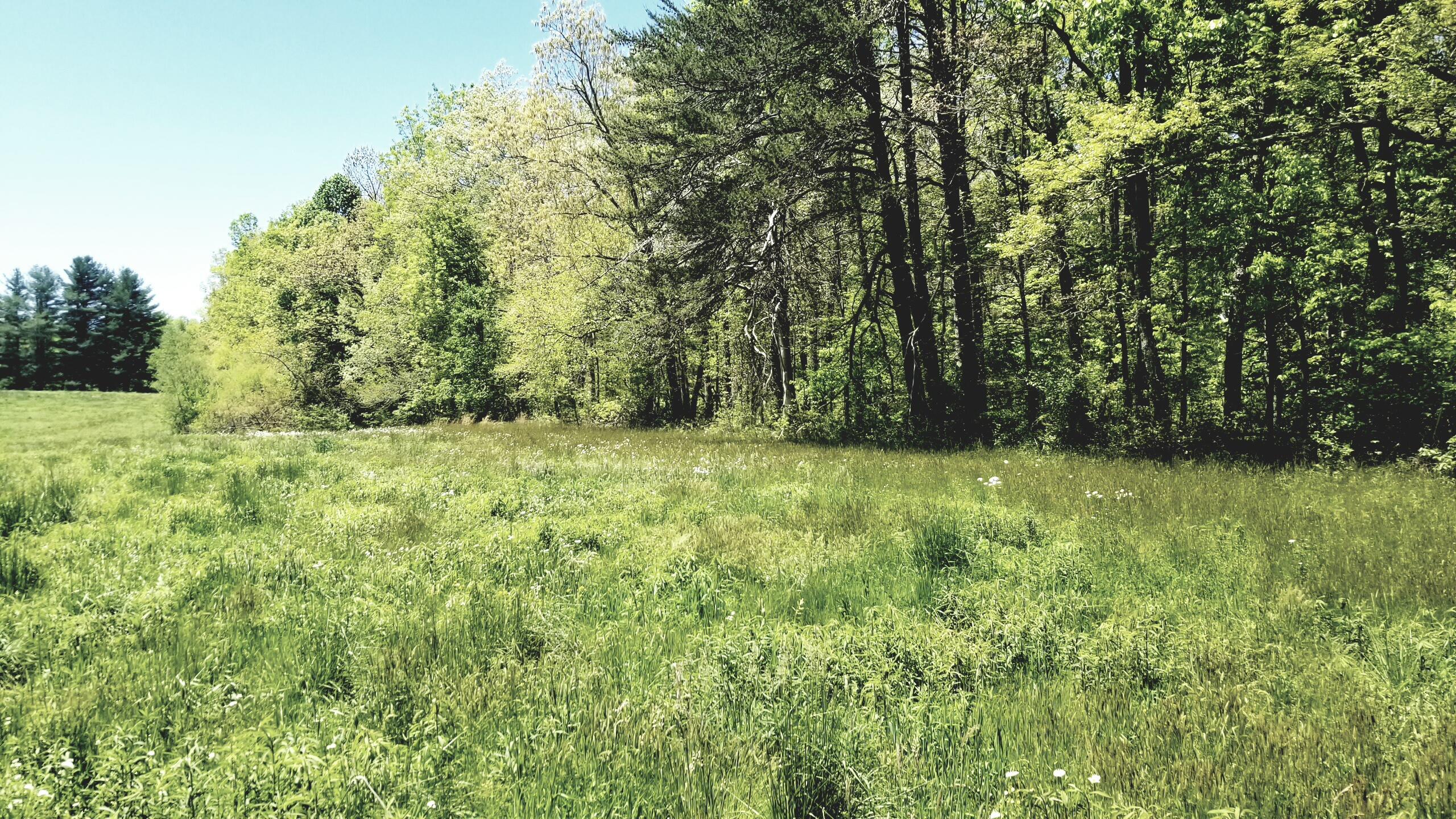 Plateau Road Crossville, TN 38571 - Photo 18 of 27 20210506_124920