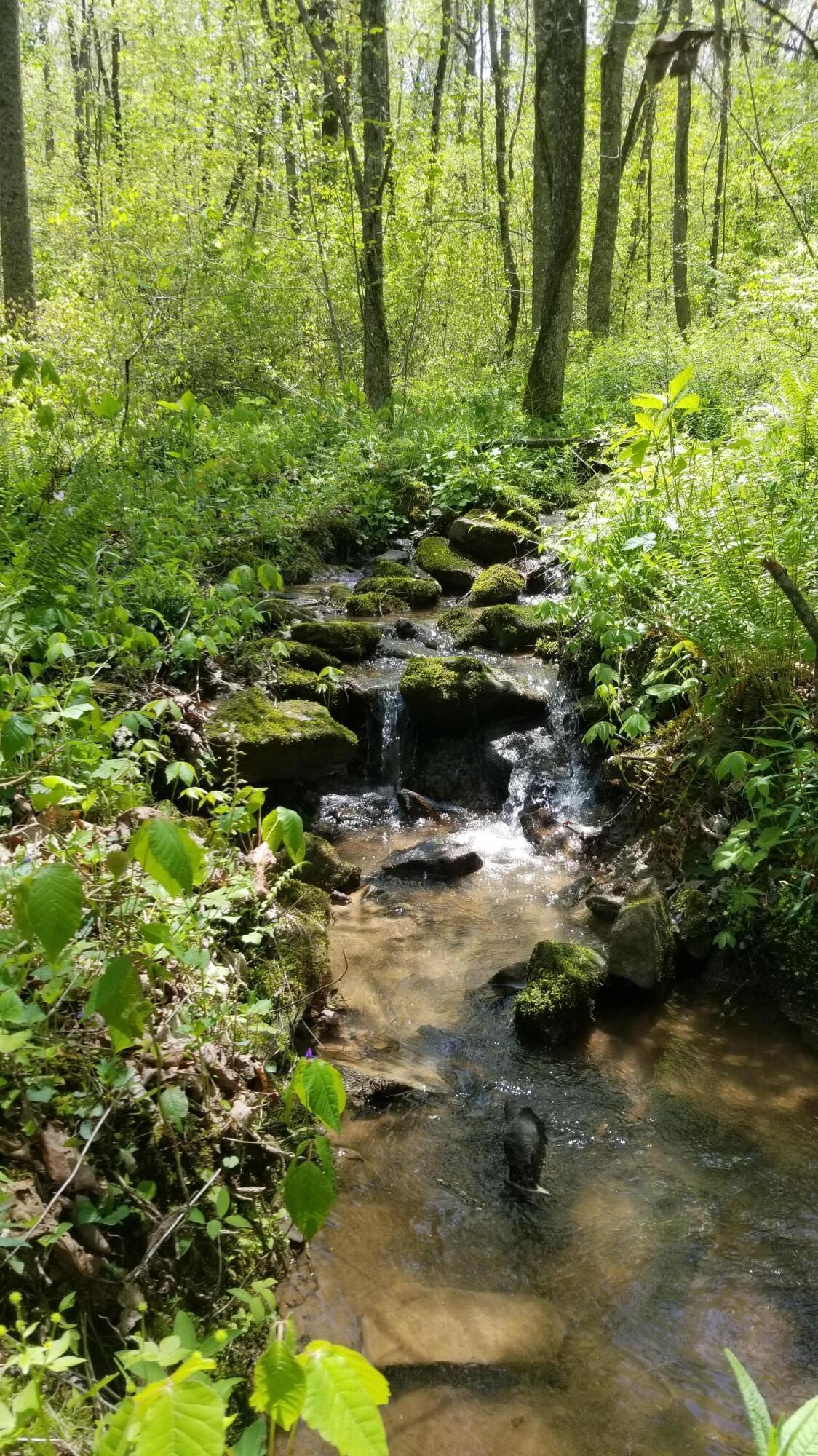 Plateau Road Crossville, TN 38571 - Photo 19 of 27 20210511_122632