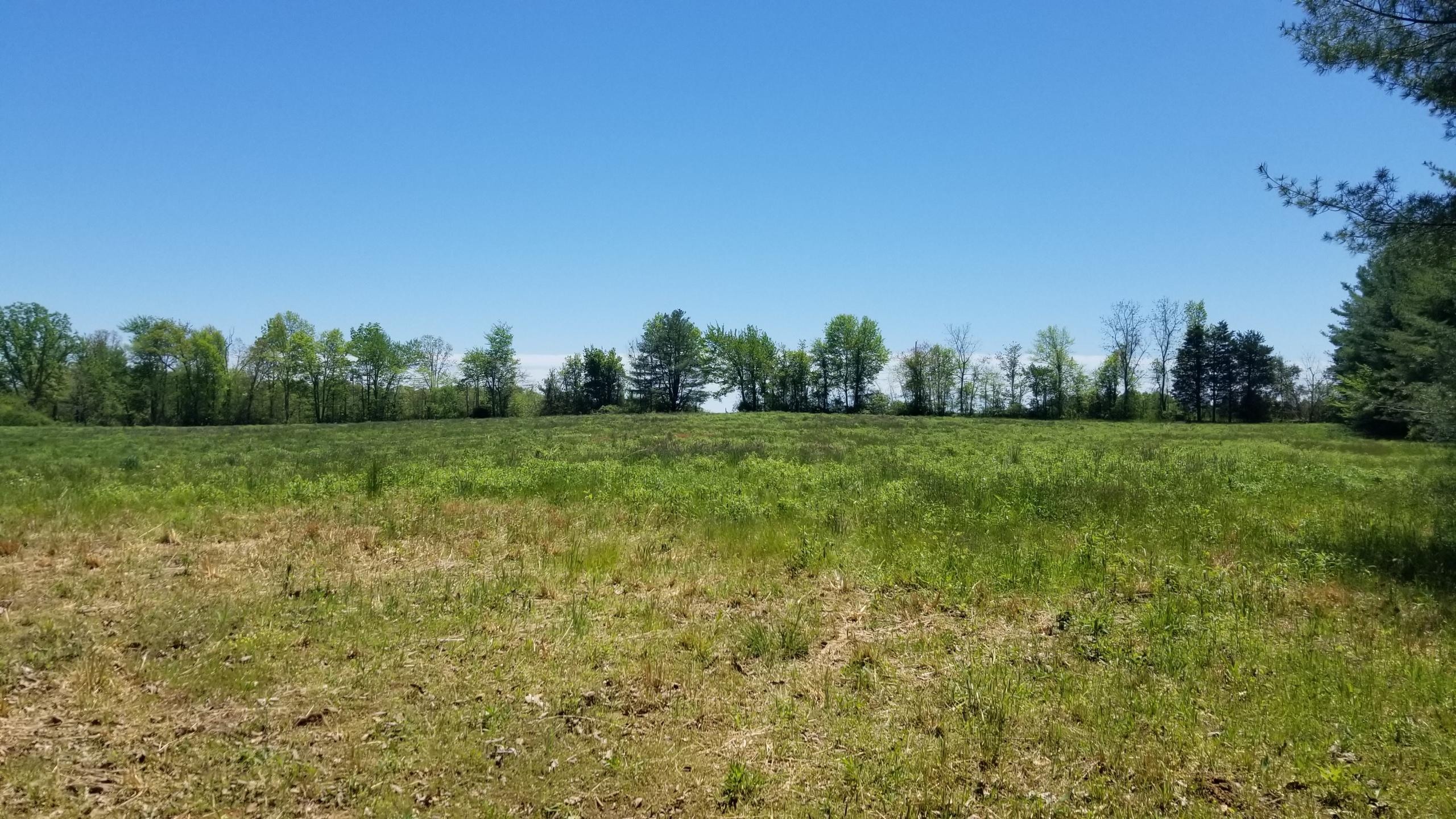 Plateau Road Crossville, TN 38571 - Photo 3 of 27 20210506_123718