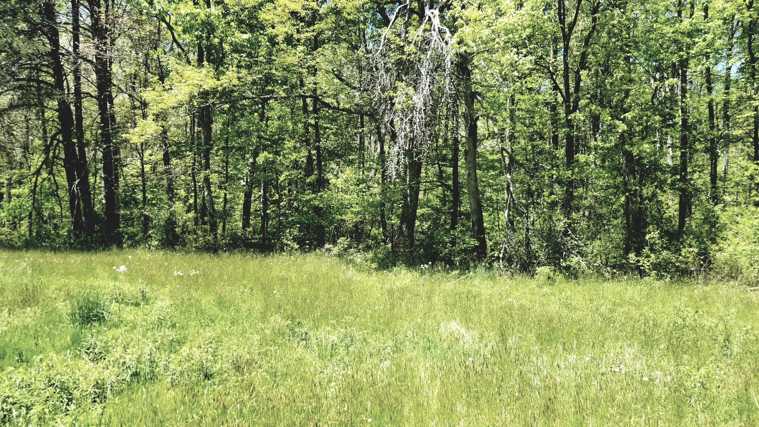 Plateau Road Crossville, TN 38571 - Photo 21 of 27 20210506_124926