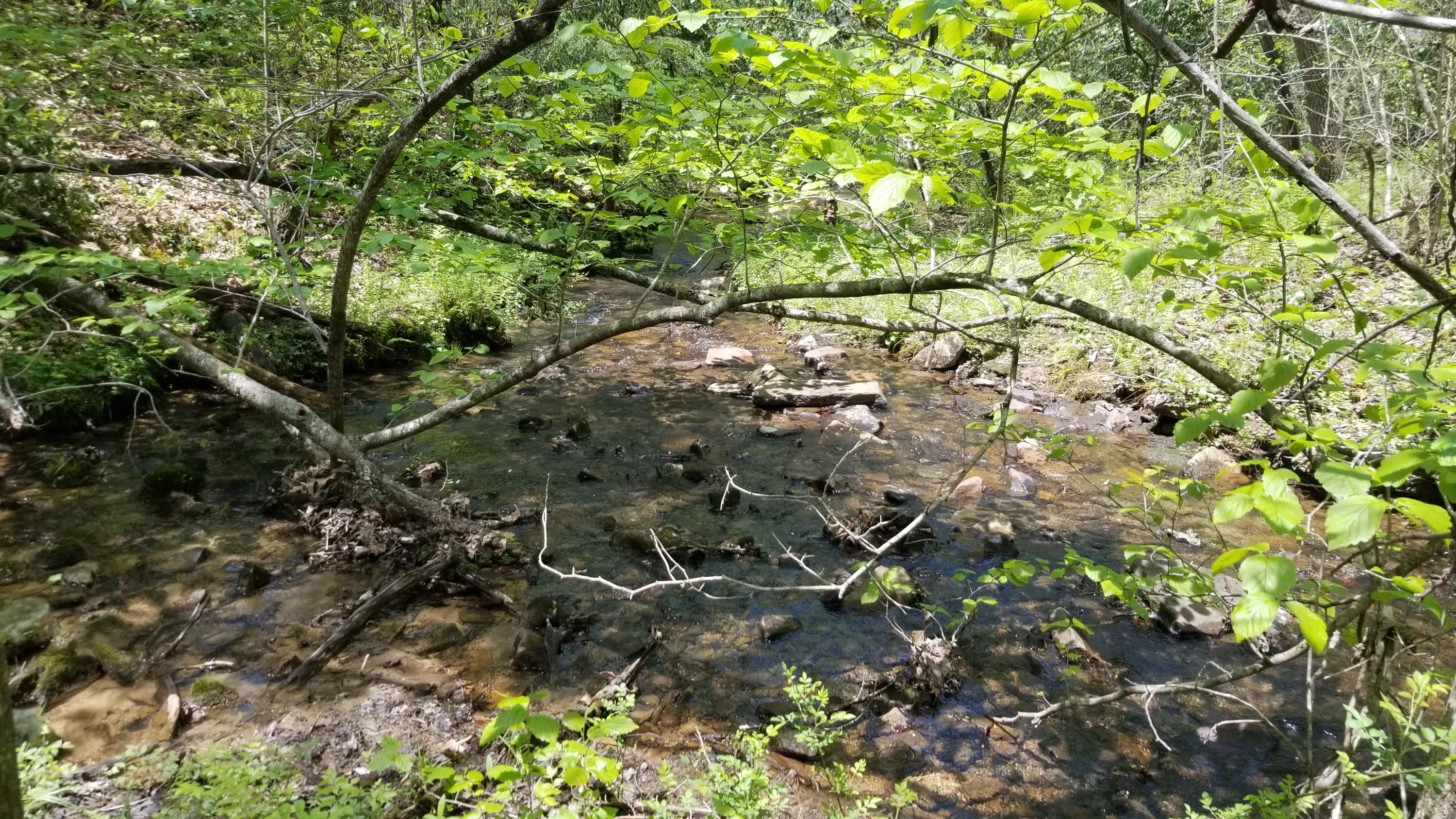 Plateau Road Crossville, TN 38571 - Photo 22 of 27 20210511_130058