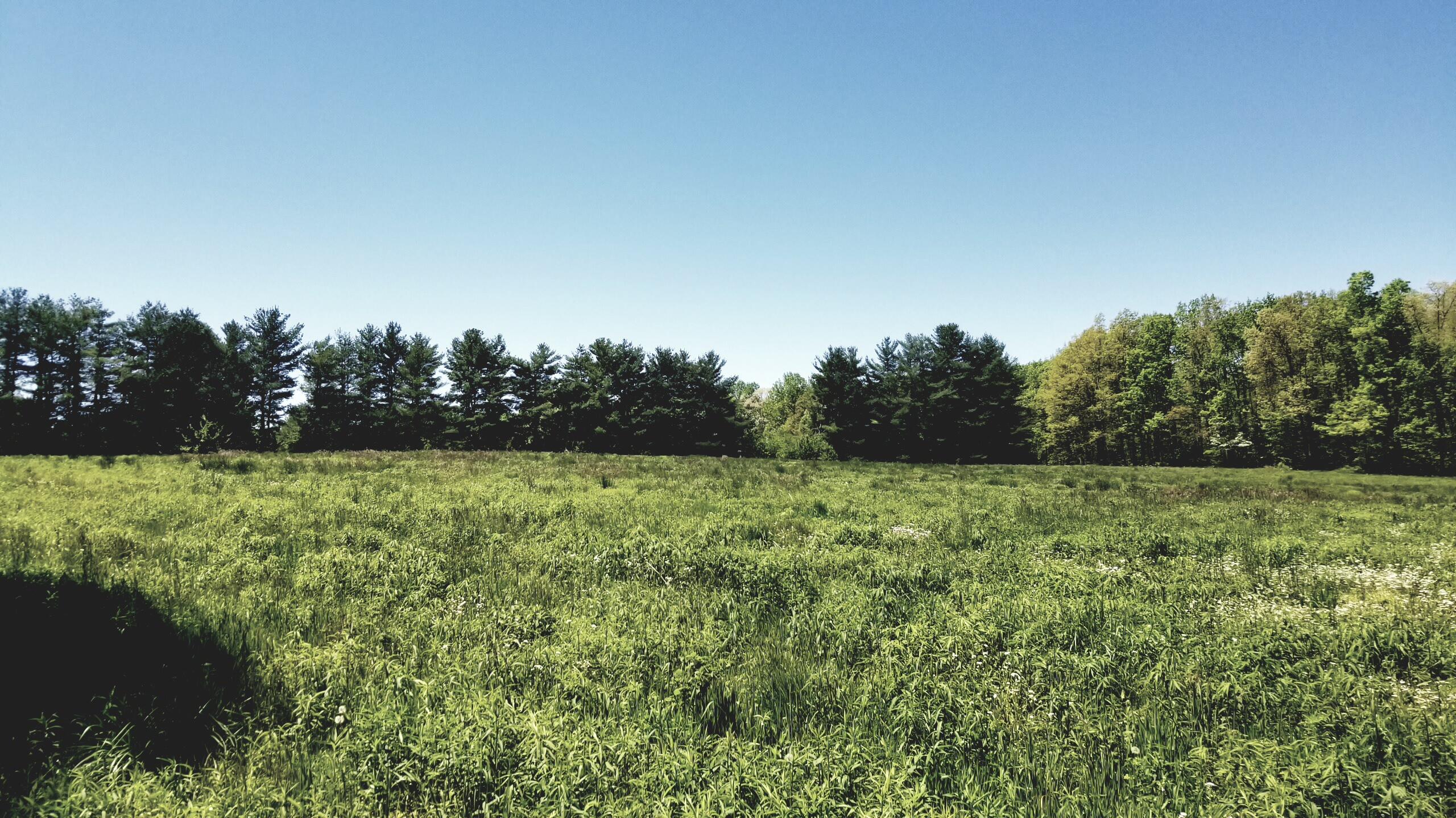 Plateau Road Crossville, TN 38571 - Photo 23 of 27 20210506_125046