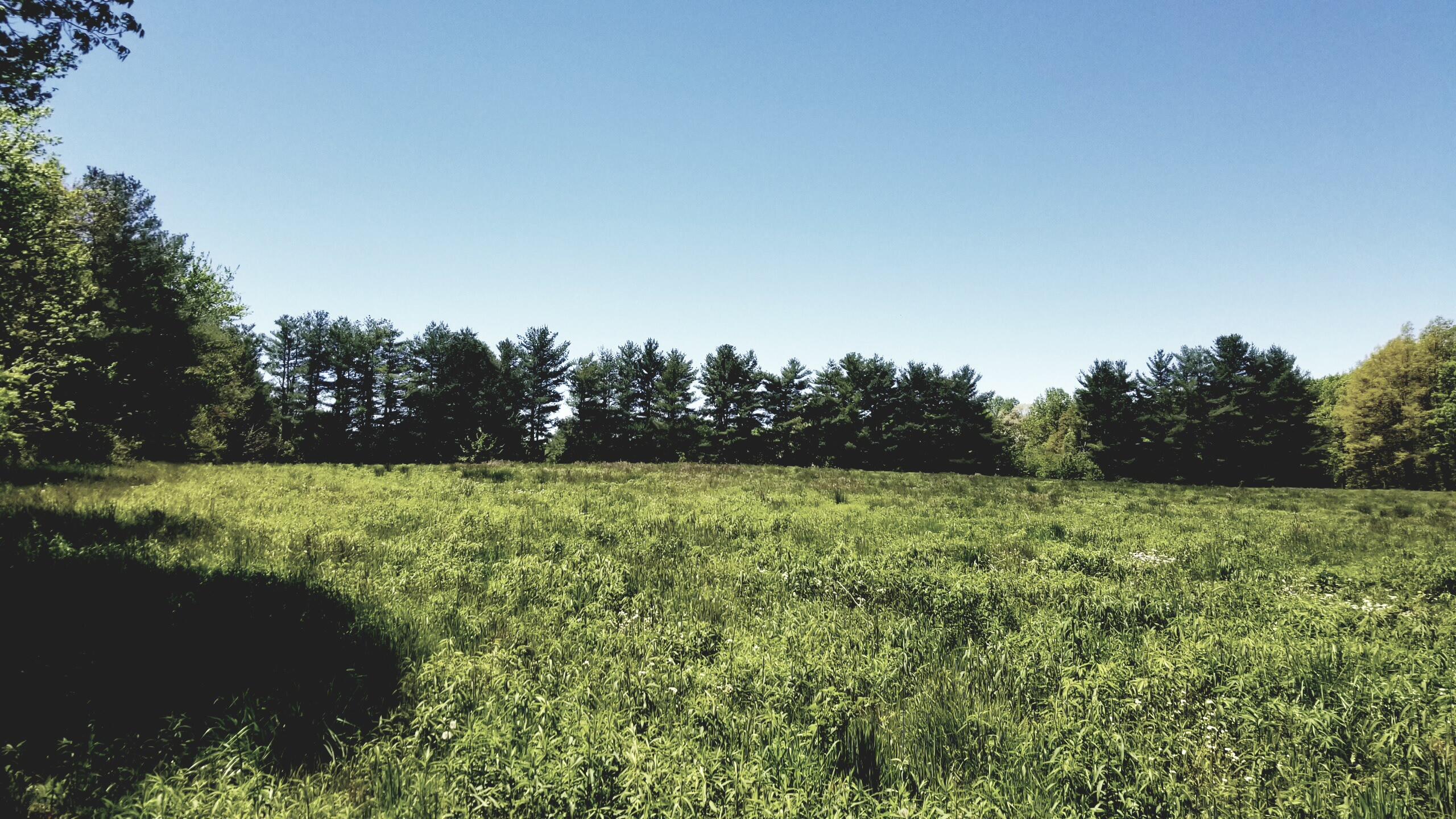 Plateau Road Crossville, TN 38571 - Photo 24 of 27 20210506_125051