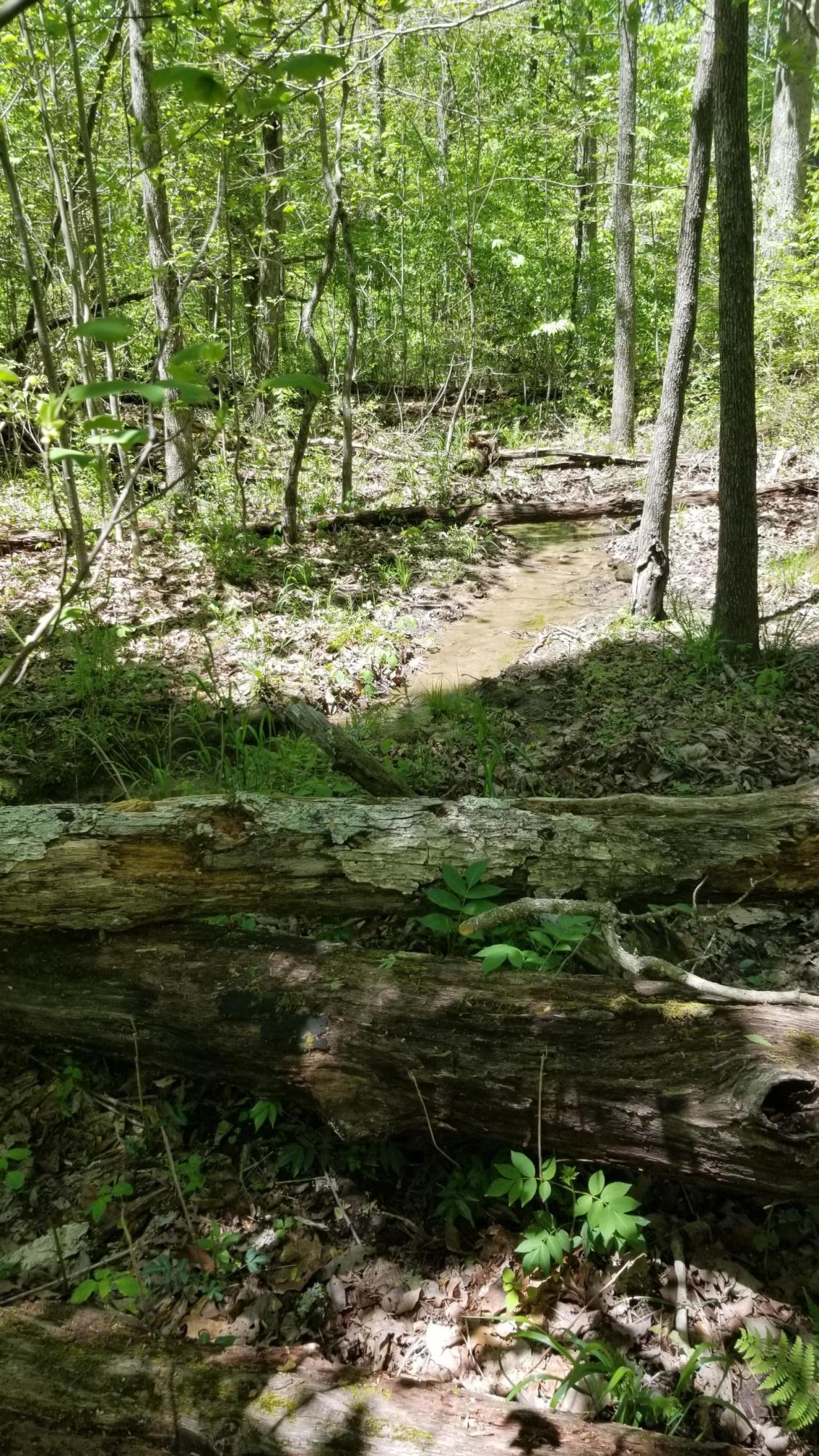 Plateau Road Crossville, TN 38571 - Photo 25 of 27 20210506_124438