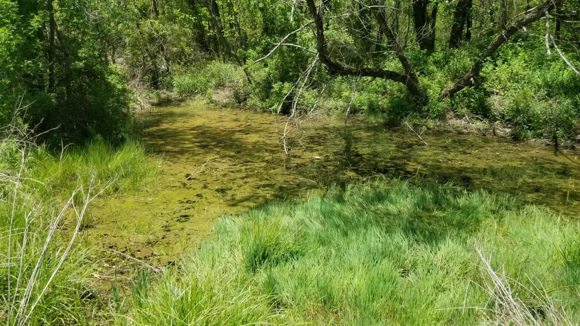 Plateau Road Crossville, TN 38571 - Photo 26 of 27 20210506_123916