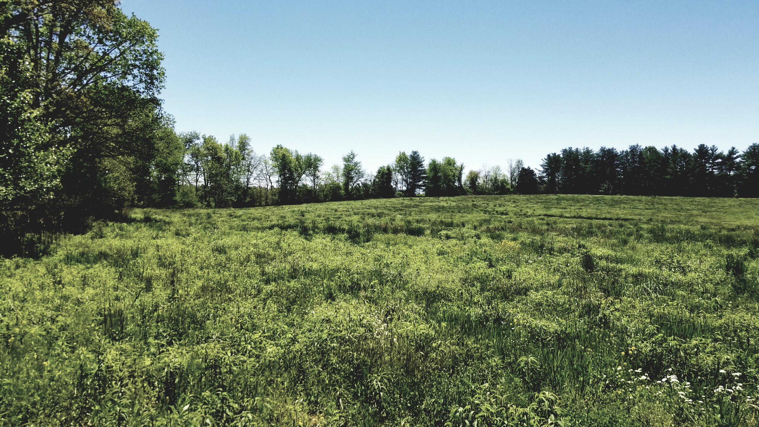 Plateau Road Crossville, TN 38571 - Photo 27 of 27 20210506_124913