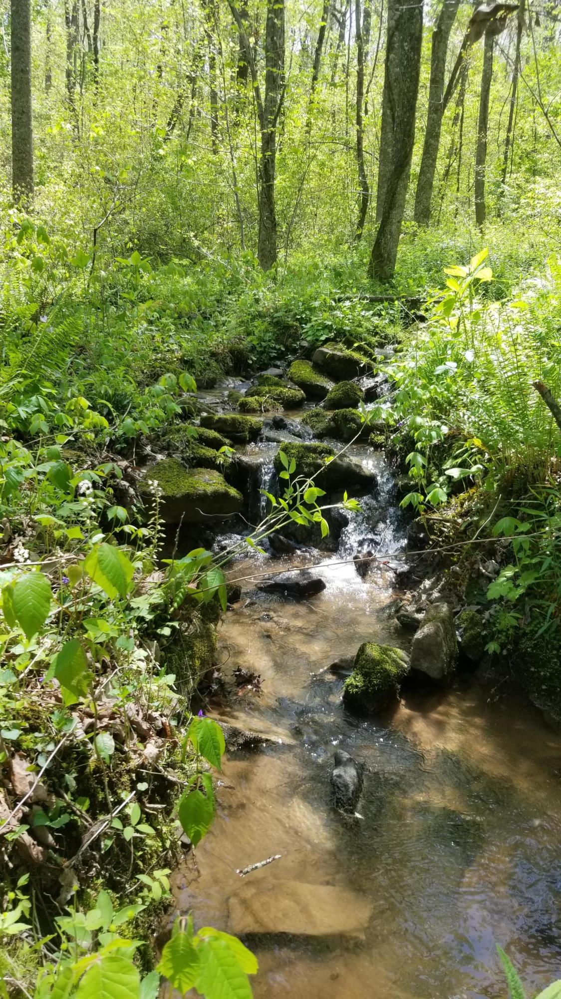 Plateau Road Crossville, TN 38571 - Photo 5 of 27 20210511_122614