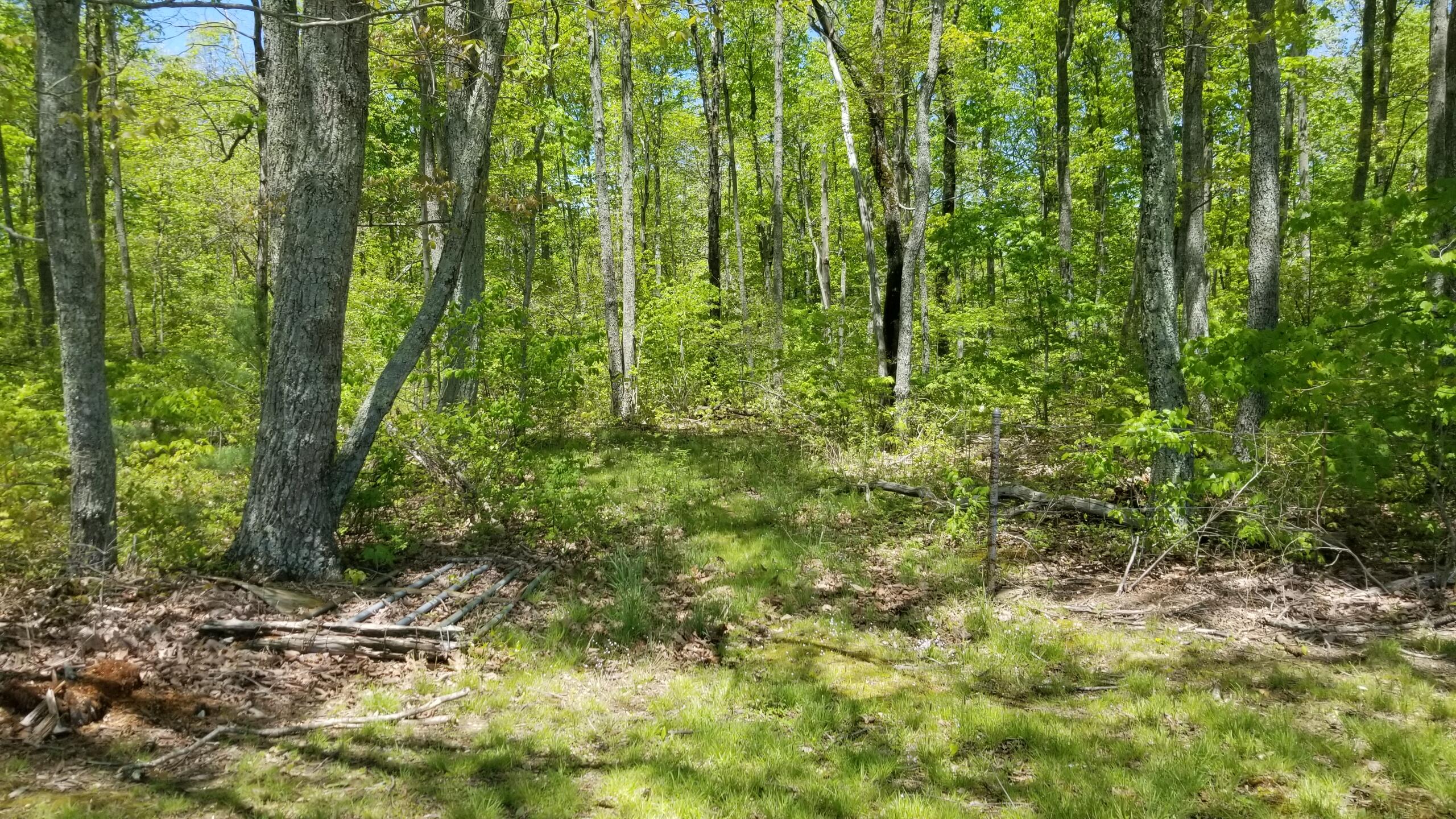 Plateau Road Crossville, TN 38571 - Photo 7 of 27 20210506_123729