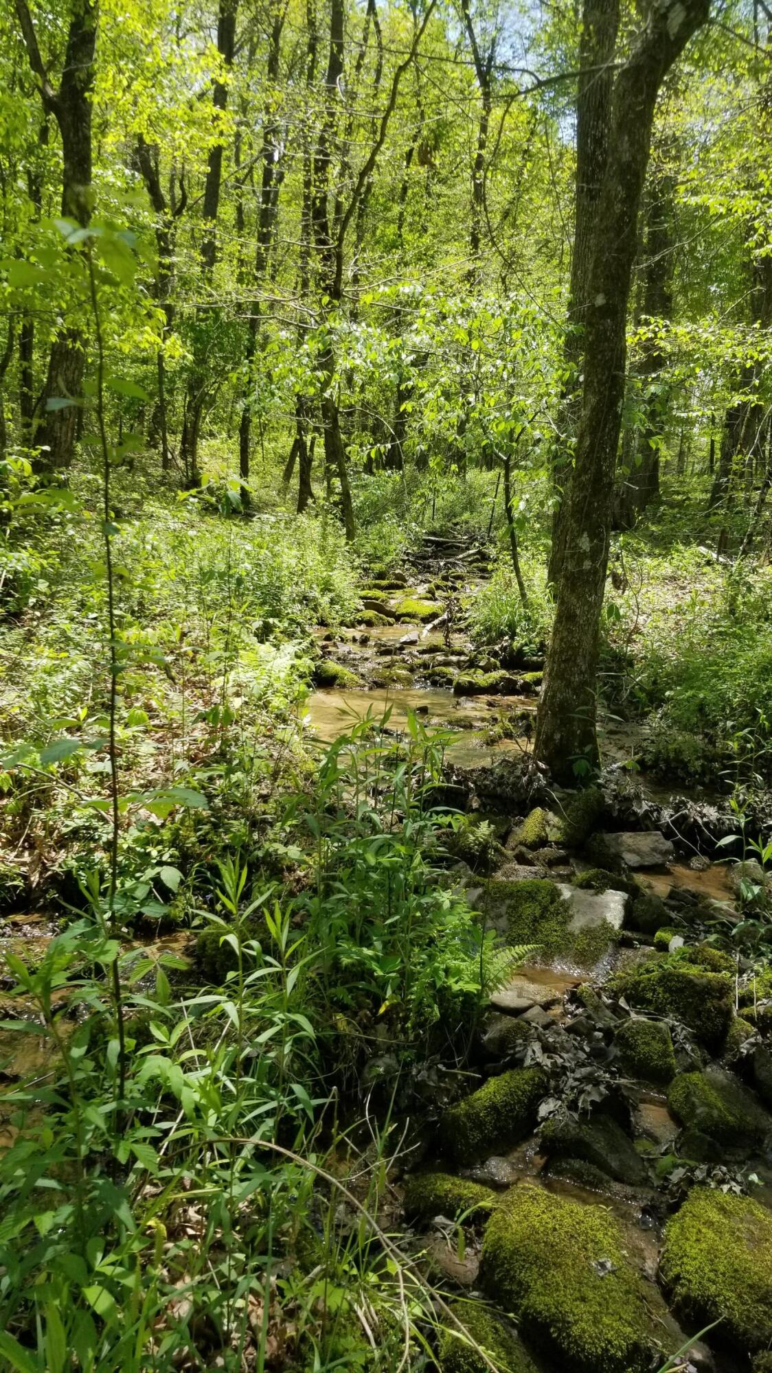 Plateau Road Crossville, TN 38571 - Photo 8 of 27 20210511_121220