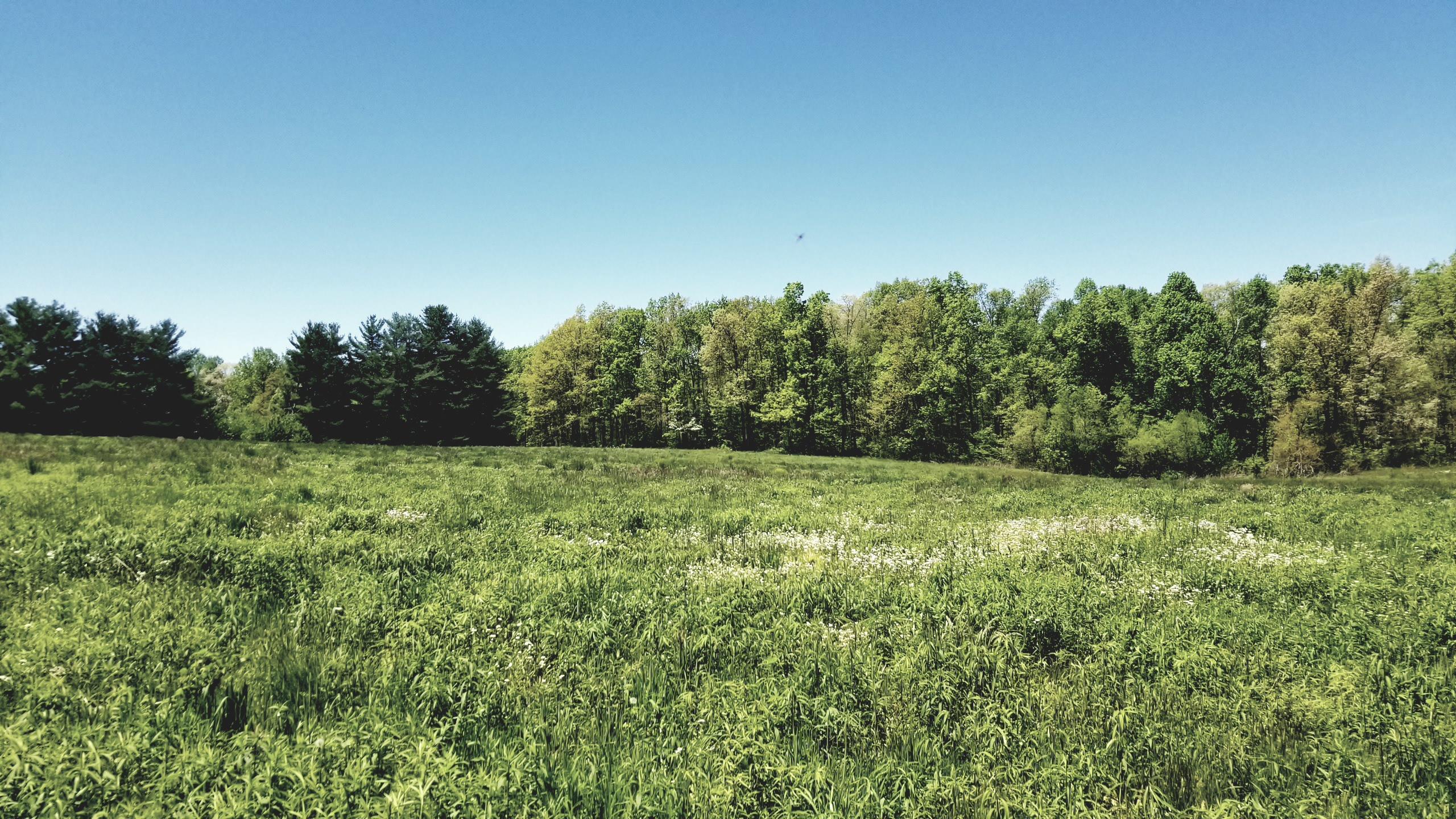 Plateau Road Crossville, TN 38571 - Photo 10 of 27 20210506_125043