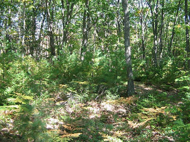 127-1 Oak Ridge Road Kennebunkport, ME 04046 - Photo 4 of 15 Other.