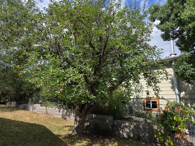 $335,000 | 1015 North Carrington Avenue, Buffalo, WY 82834