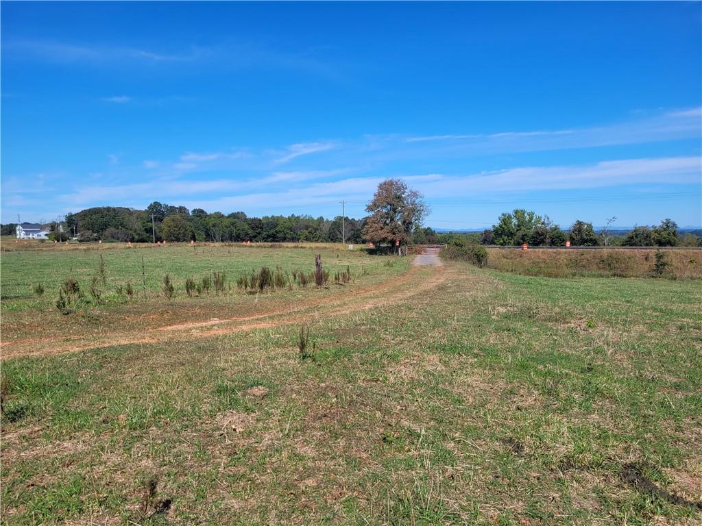 8117 Sandy Cross Road Carnesville, GA 30521 - Photo 3 of 5