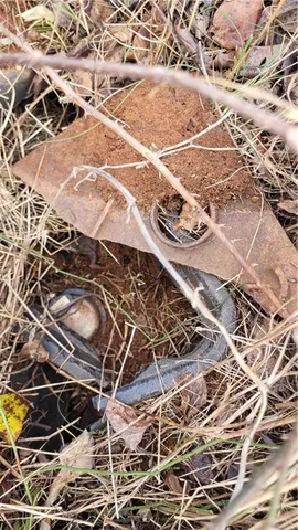 $244,900 | 8117 Sandy Cross Road, Carnesville, GA 30521