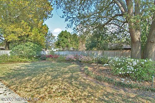 Backyard