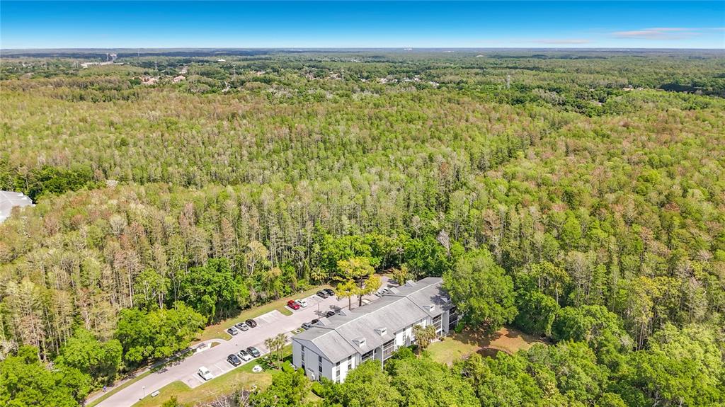 1372 Pine Ridge Circle East, Unit H3 Tarpon Springs, FL 34688 - Photo 37 of 53 an aerial view of residential houses with outdoor space and trees