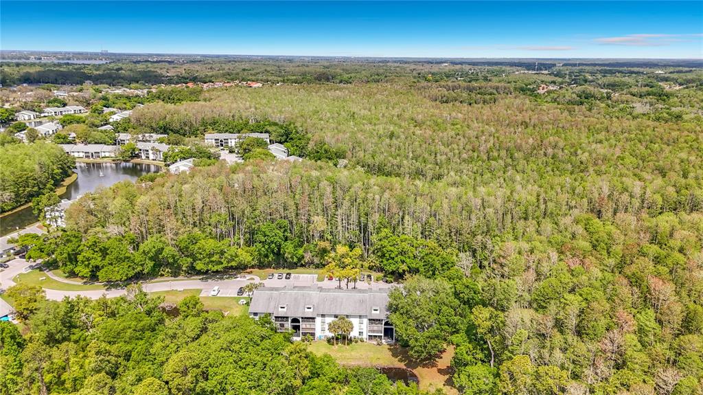 1372 Pine Ridge Circle East, Unit H3 Tarpon Springs, FL 34688 - Photo 38 of 53 an aerial view of residential building and lake