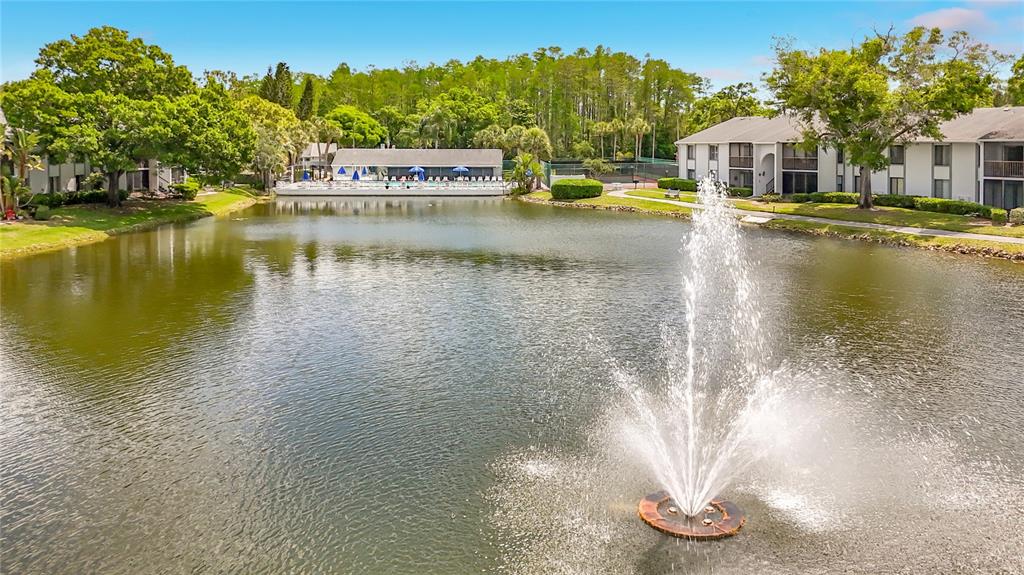 1372 Pine Ridge Circle East, Unit H3 Tarpon Springs, FL 34688 - Photo 52 of 53