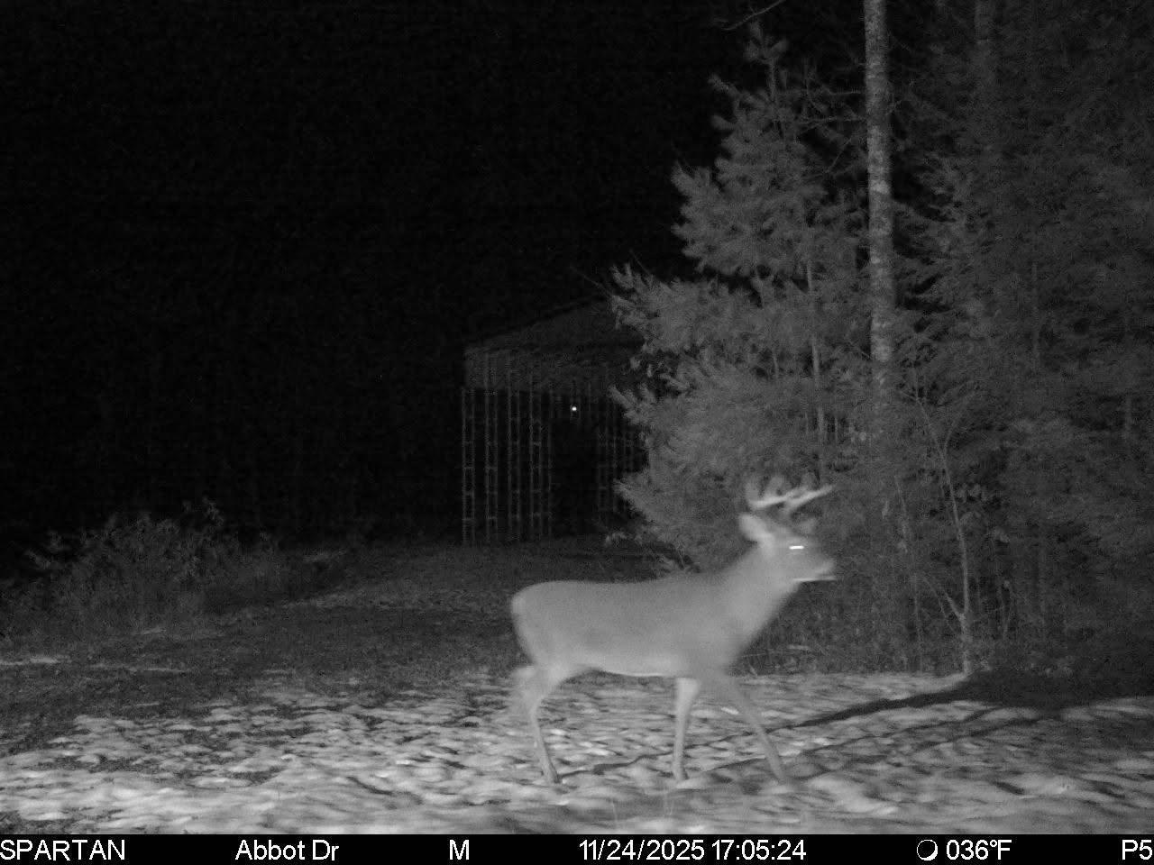 22 Back Parkman Road Abbot, ME 04406 - Photo 25 of 38