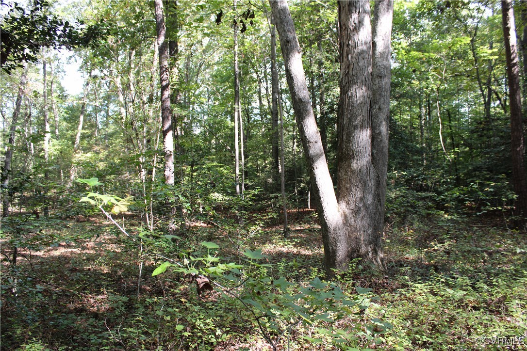 Tbd6 Courthouse Road Providence Forge, VA 23140 - Photo 3 of 6 View of landscape featuring a view of trees