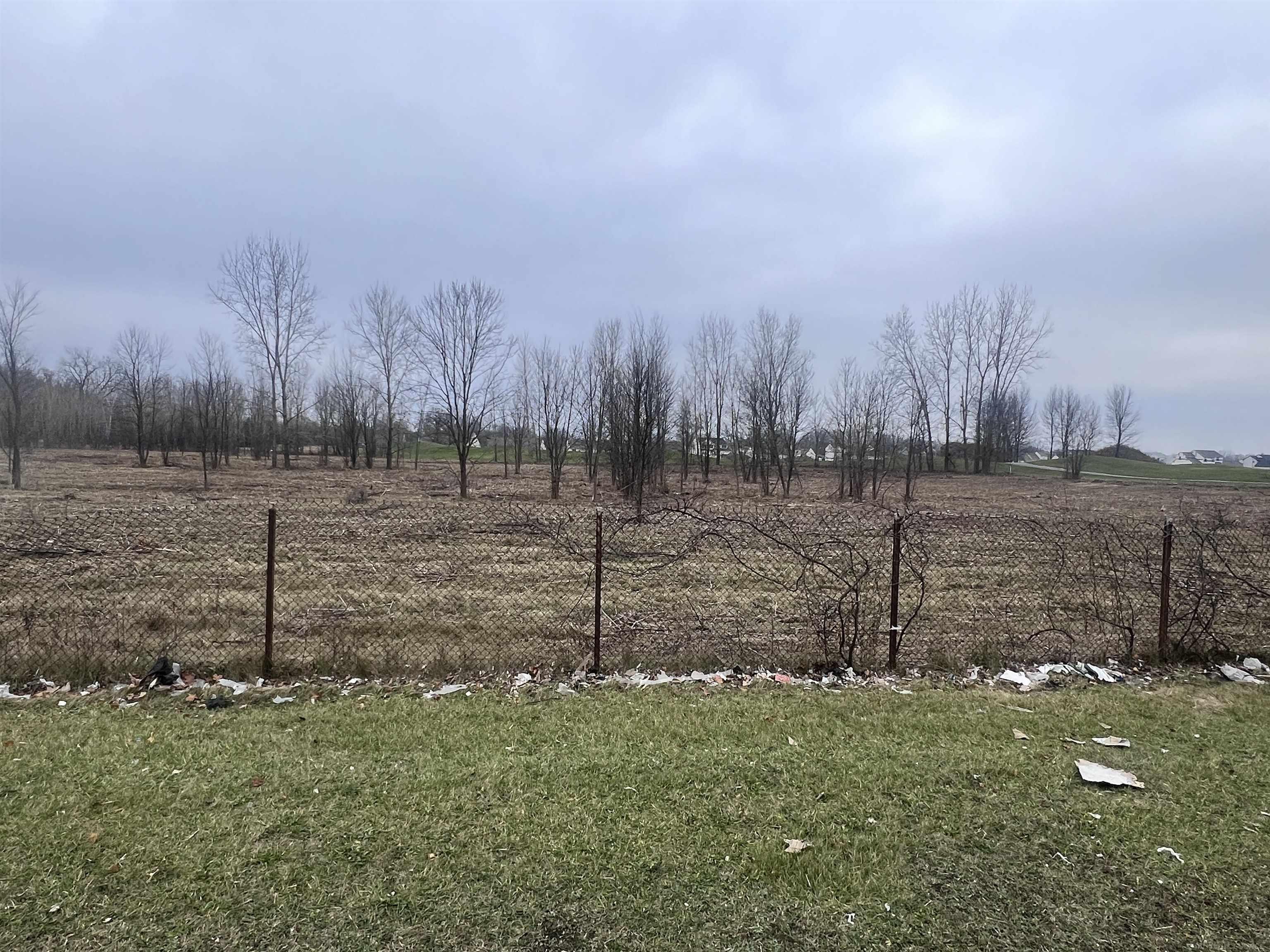 0 Merriman Road Romulus, MI 48174 - Photo 4 of 7
