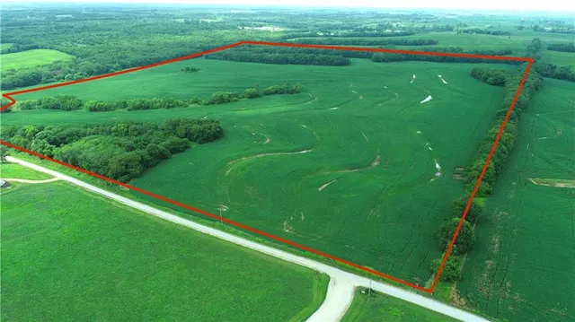 $768,750 | Southwest Patton Road, Amity, MO 64422