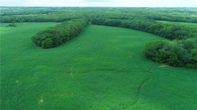 $768,750 | Southwest Patton Road, Amity, MO 64422