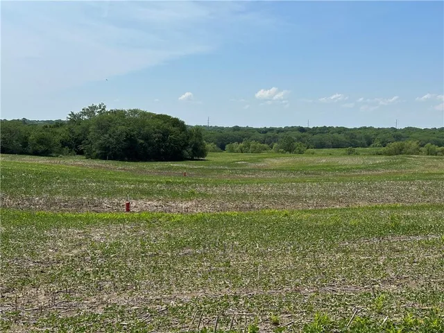 $768,750 | Southwest Patton Road, Amity, MO 64422