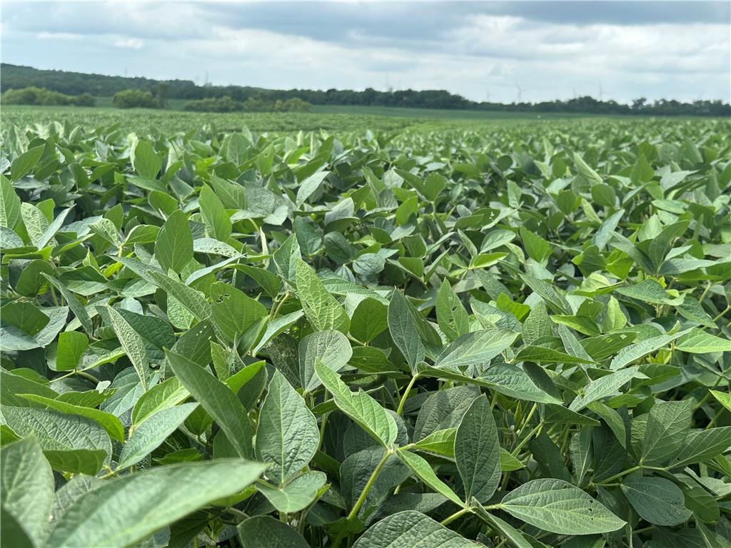 Southwest Patton Road Amity, MO 64422 - Photo 13 of 15