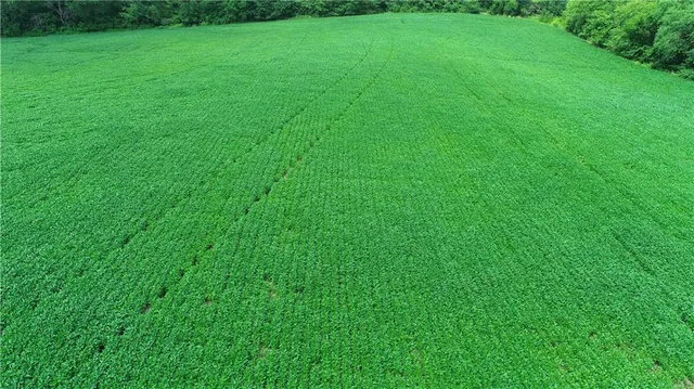 $768,750 | Southwest Patton Road, Amity, MO 64422