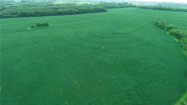 $768,750 | Southwest Patton Road, Amity, MO 64422