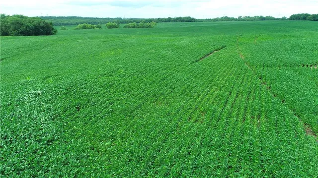 $768,750 | Southwest Patton Road, Amity, MO 64422