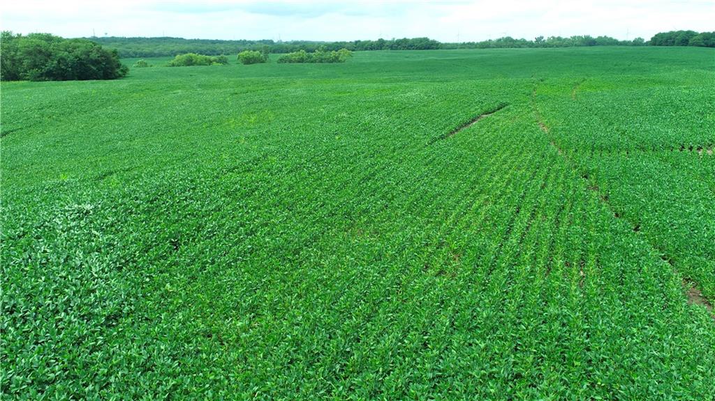 Southwest Patton Road Amity, MO 64422 - Photo 4 of 15