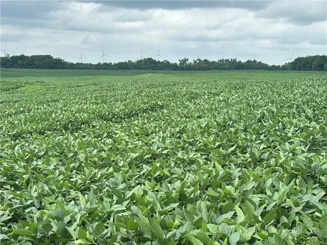 $768,750 | Southwest Patton Road, Amity, MO 64422