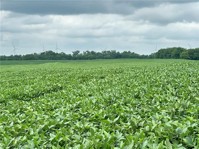 $768,750 | Southwest Patton Road, Amity, MO 64422