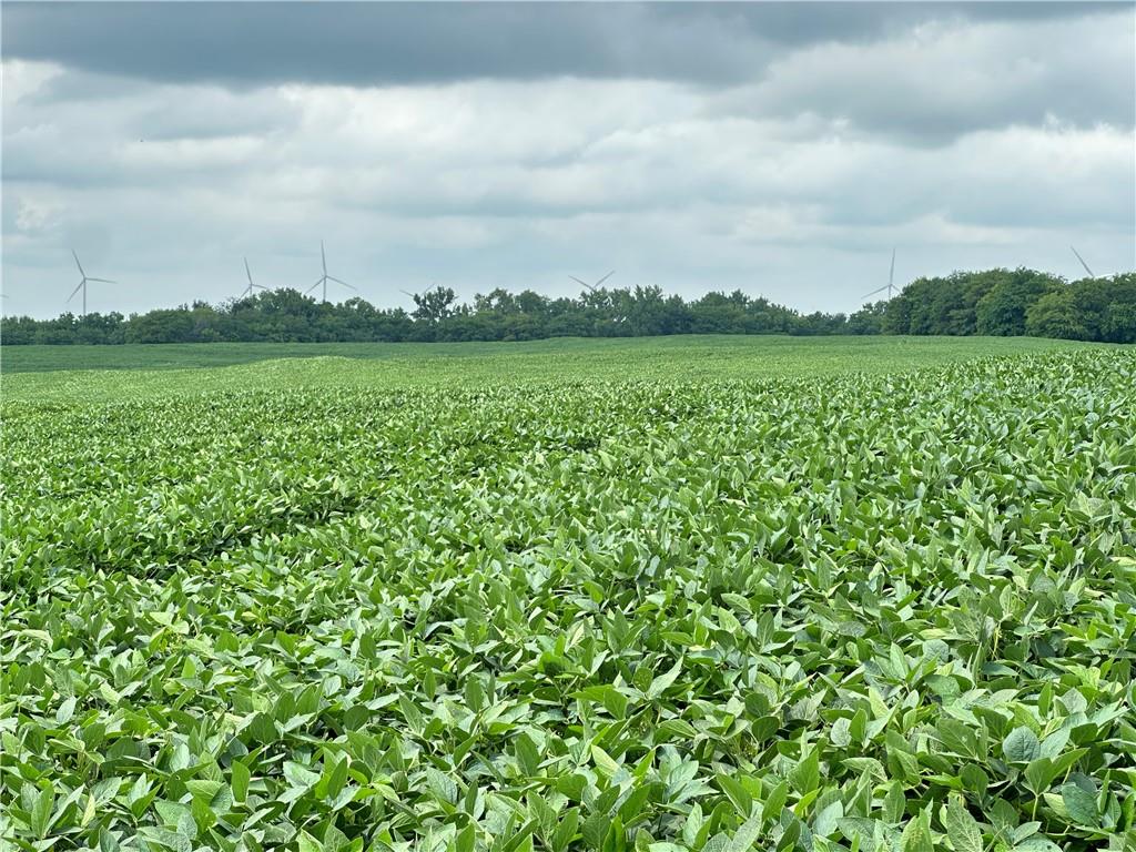Southwest Patton Road Amity, MO 64422 - Photo 7 of 15