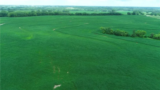 $768,750 | Southwest Patton Road, Amity, MO 64422