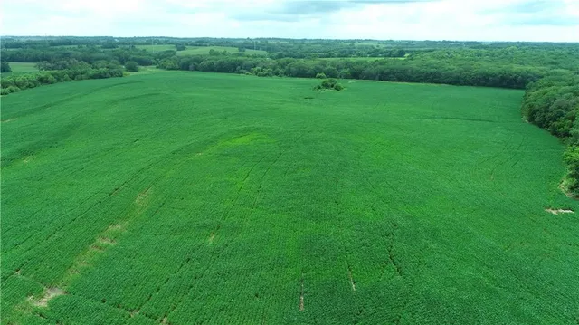 $768,750 | Southwest Patton Road, Amity, MO 64422