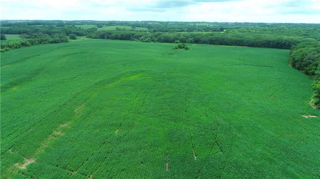 Southwest Patton Road Amity, MO 64422 - Photo 9 of 15