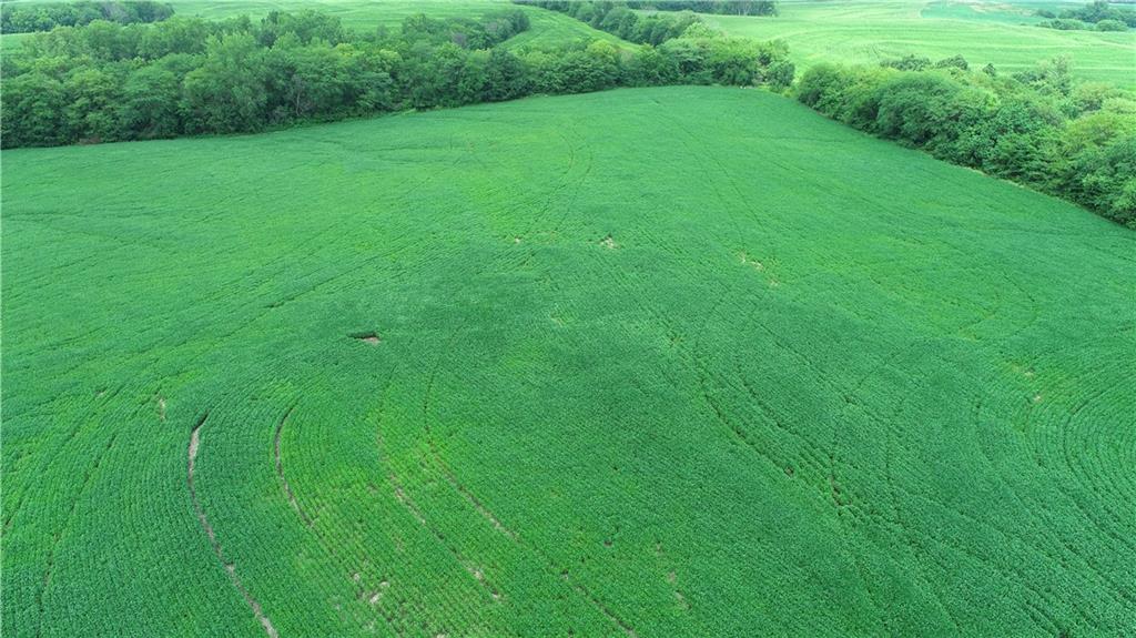 Southwest Patton Road Amity, MO 64422 - Photo 10 of 15