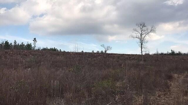 174 Rolling Hills Road Aiken, SC 29803 - Photo 12 of 17 RH16