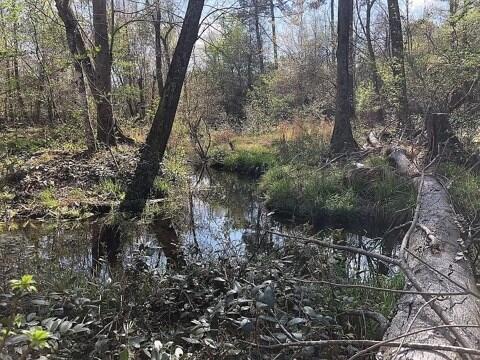 174 Rolling Hills Road Aiken, SC 29803 - Photo 4 of 17 RH4