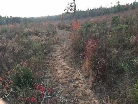 174 Rolling Hills Road Aiken, SC 29803 - Photo 7 of 17 RH6