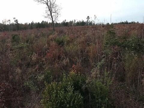 174 Rolling Hills Road Aiken, SC 29803 - Photo 8 of 17 RH7